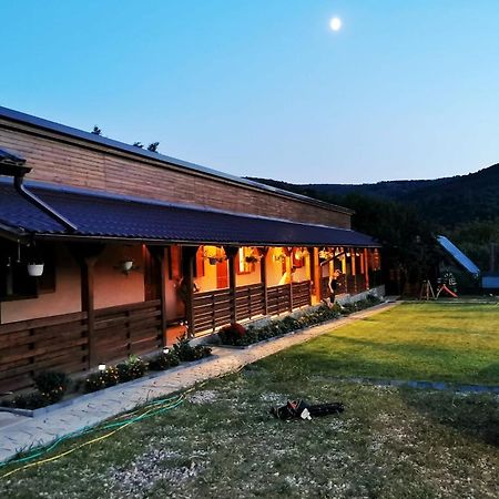 Casa Borcean 2 Guest House Sasca Montană Exterior foto