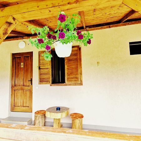 Casa Borcean 2 Guest House Sasca Montană Exterior foto
