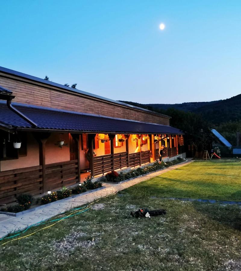 Casa Borcean 2 Guest House Sasca Montană Exterior foto