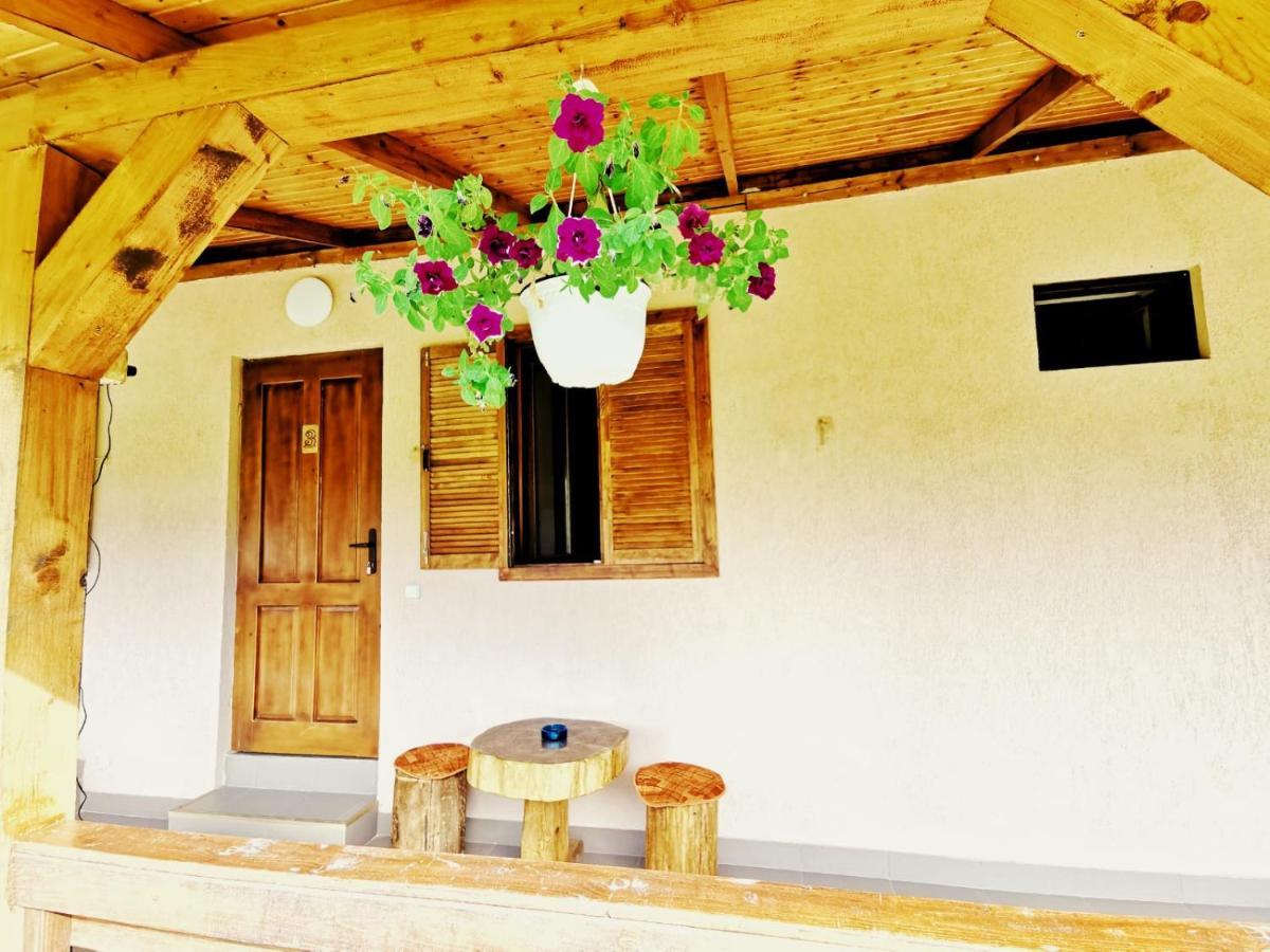 Casa Borcean 2 Guest House Sasca Montană Exterior foto