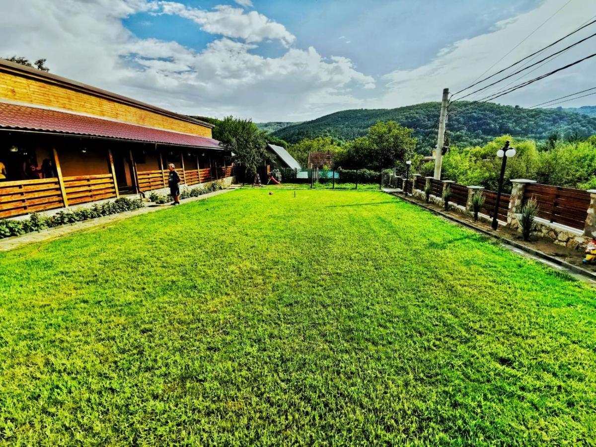 Casa Borcean 2 Guest House Sasca Montană Exterior foto