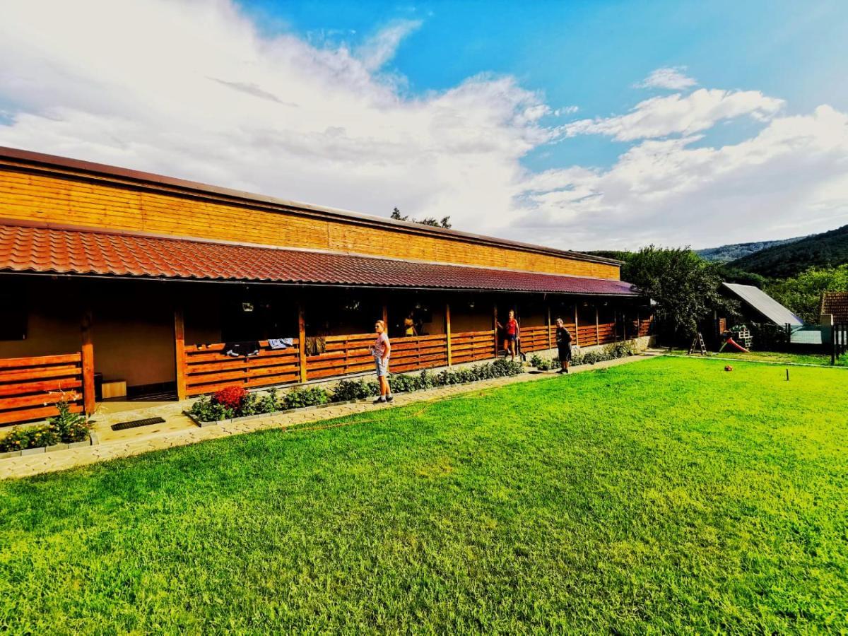 Casa Borcean 2 Guest House Sasca Montană Exterior foto