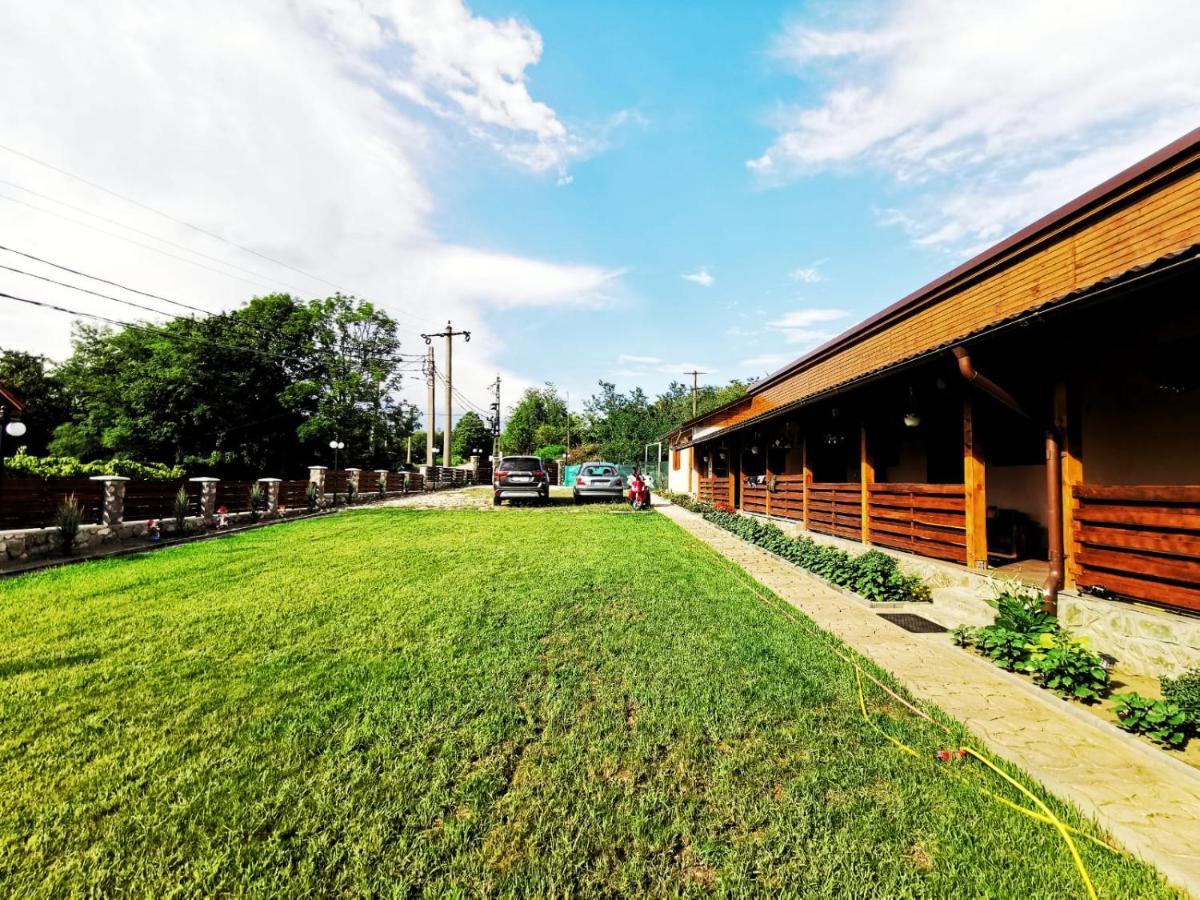 Casa Borcean 2 Guest House Sasca Montană Exterior foto