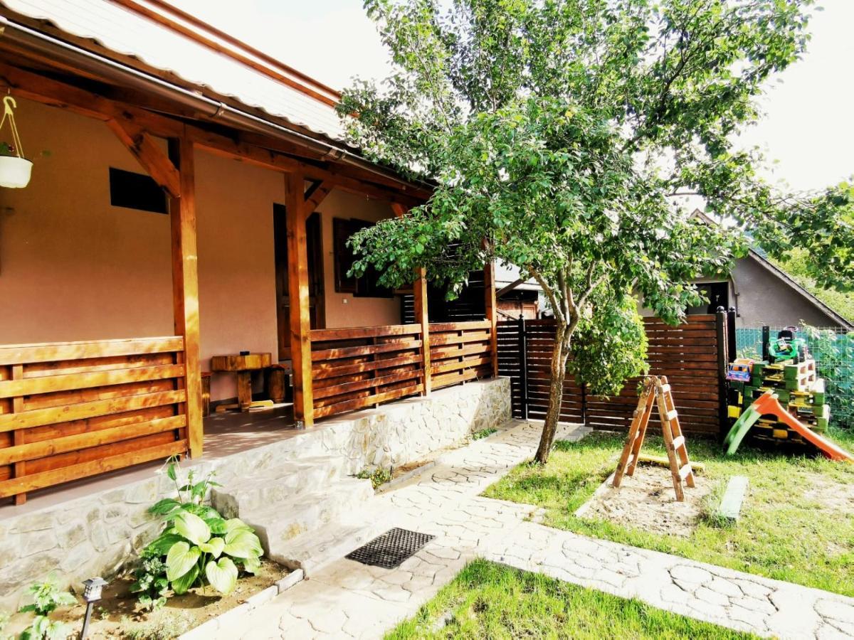 Casa Borcean 2 Guest House Sasca Montană Exterior foto