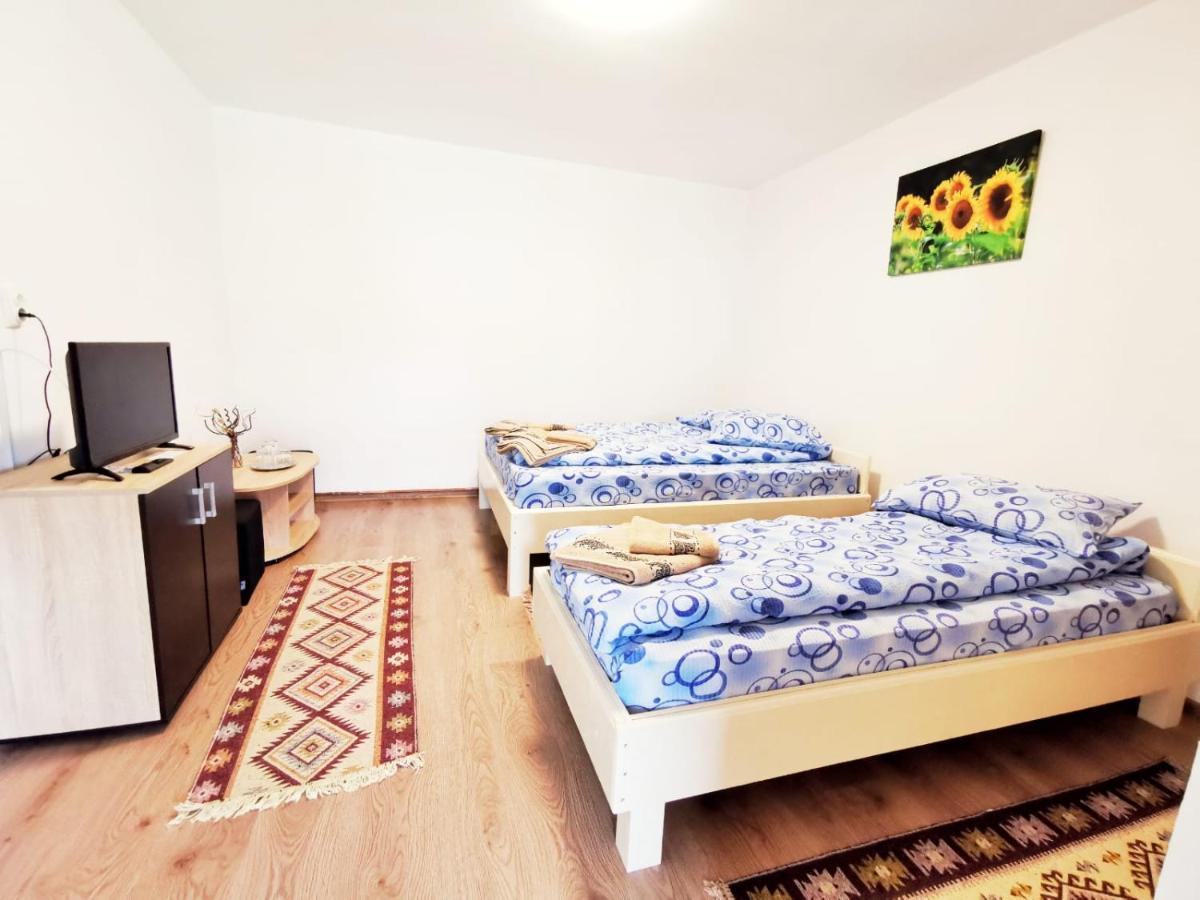 Casa Borcean 2 Guest House Sasca Montană Exterior foto