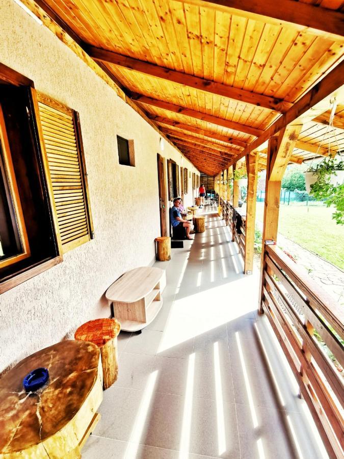 Casa Borcean 2 Guest House Sasca Montană Exterior foto